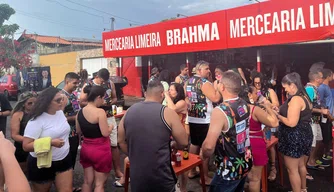 Foliões curtem bloquinho de carnaval no Dirceu II