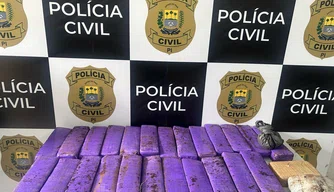 Drogas apreendidas durante ação em Amarante