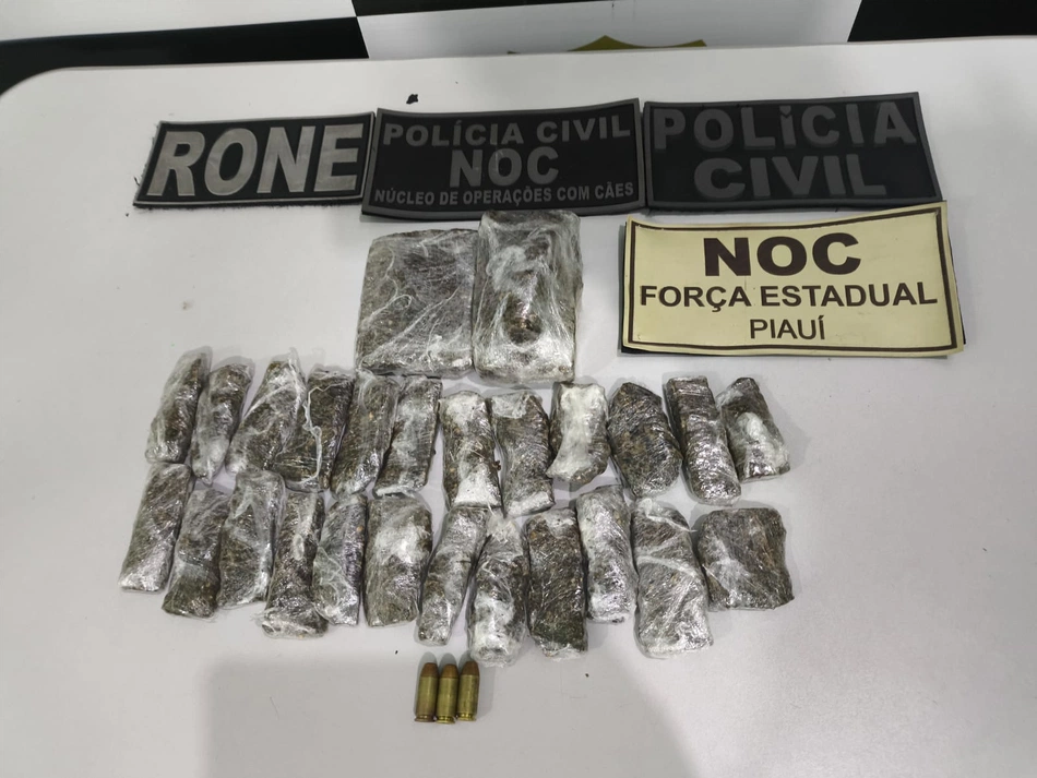 Materiais apreendidos pela Polícia Civil