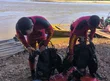 Corpo de bombeiros