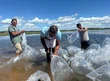 A doação de 100 mil alevinos – filhotes de peixe na cidade de Joaquim Pires.