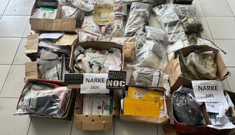 Polícia Civil incinera 200kg de entorpecentes em operação do MJSP