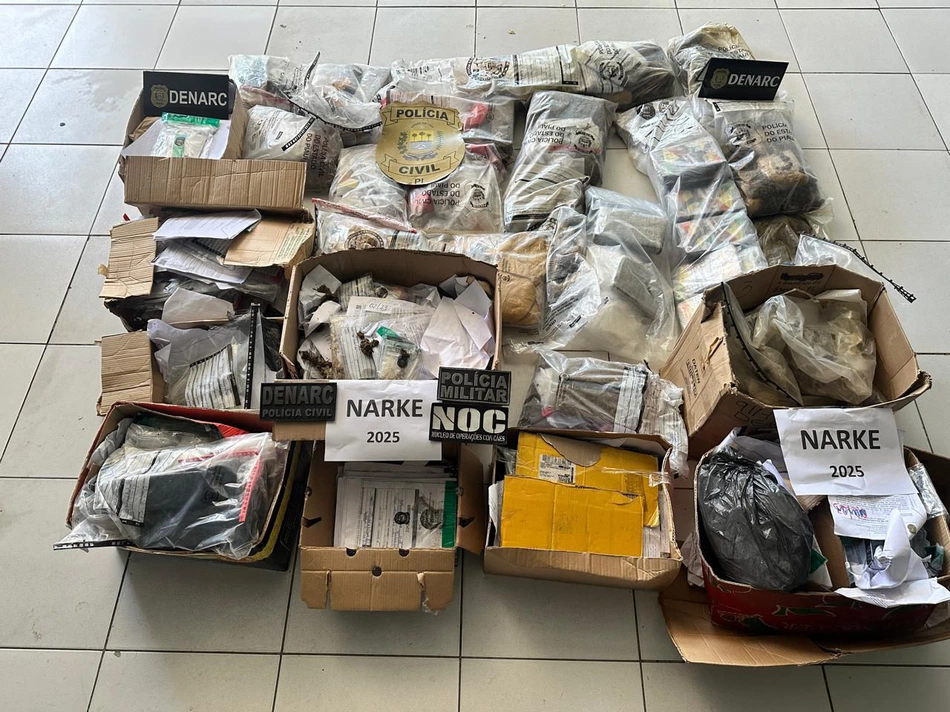 Polícia Civil incinera 200kg de entorpecentes em operação do MJSP