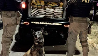 Materiais apreendidos pela PRF