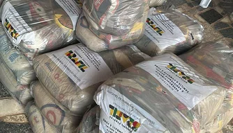 Polícia Federal cumpre mandado contra agente político em Sigefredo Pacheco