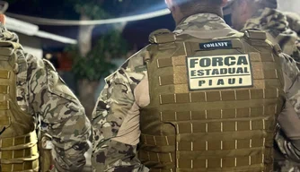 Força Estadual cumpre mandados