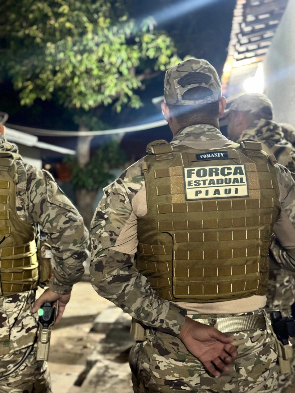 Força Estadual cumpre mandados