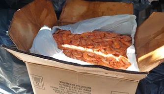 Adapi descarta mais de uma tonelada de pescado irregular