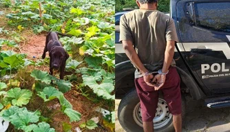 Homem acusado de praticar maus-tratos contra uma cadela