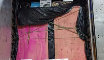 Carga apreendida pela PRF.