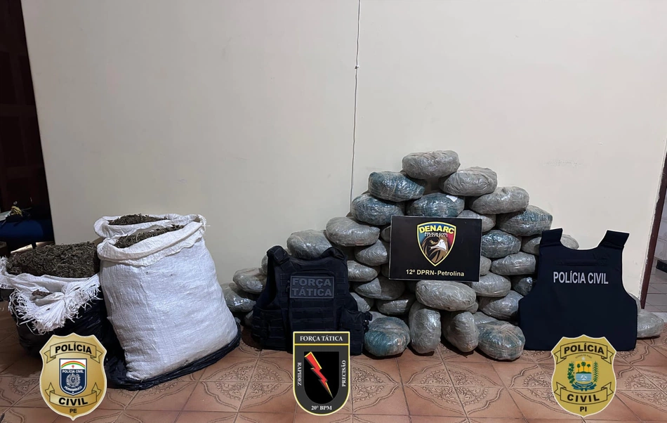 Drogas apreendidas durante a operação.