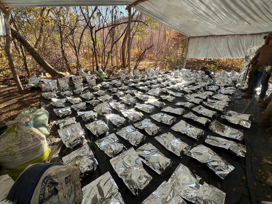400 kg de maconha embaladas a vácuo