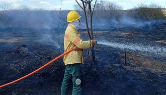 Brigadistas controlam incêndio de grande proporções em Bom Jesus.