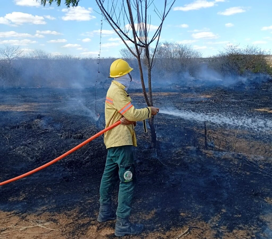 Brigadistas controlam incêndio de grande proporções em Bom Jesus.