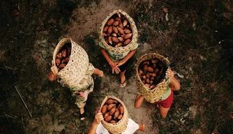 Curta metragem retrata a luta de quebradeiras de coco babaçu