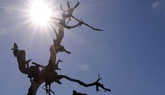 Municípios do Piauí em estado de alerta