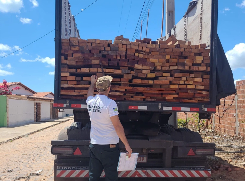 Madeira ilegal apreendida na cidade de Parnaíba