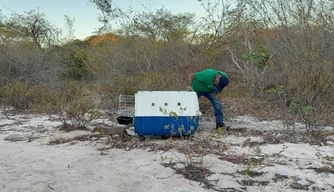 Parque do Rangel, em Curimatá