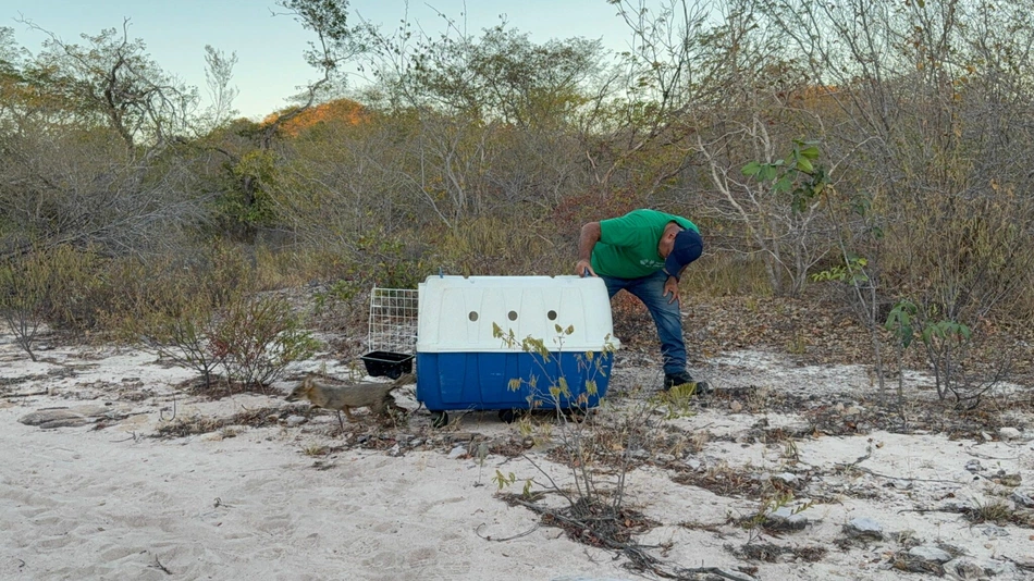Parque do Rangel, em Curimatá