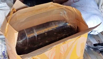 Transporte irregular de alevinos em Valença.