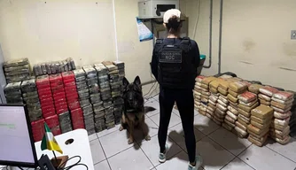 Drogas apreendidas durante abordagem.