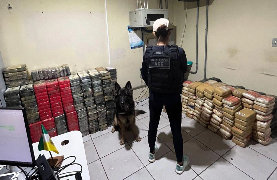 Drogas apreendidas durante abordagem.