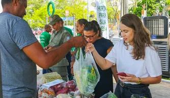 Investimentos na agricultura familiar no Piauí