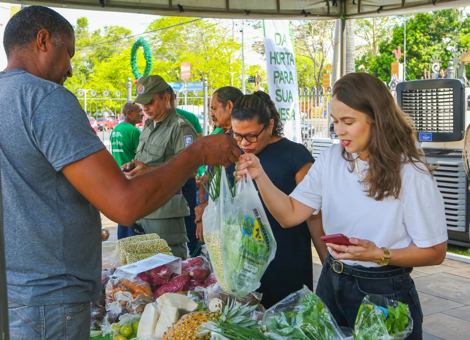 Investimentos na agricultura familiar no Piauí