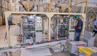 Piauí tem mais de 300 mil empresas ativas