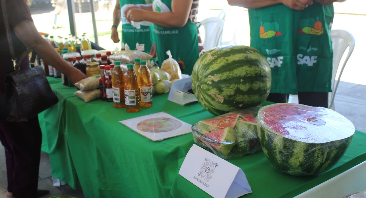 Governador anuncia mais de R$ 100 milhões para agricultura familiar