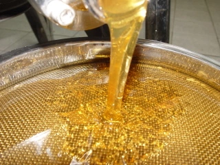 Produção de mel na Agricultura Familiar