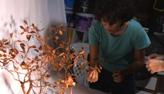 Museu do Piauí recebe exposição do projeto [Re]levo.