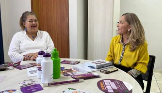 Promotora do MPPI e Secretária da Mulher em Reunião.
