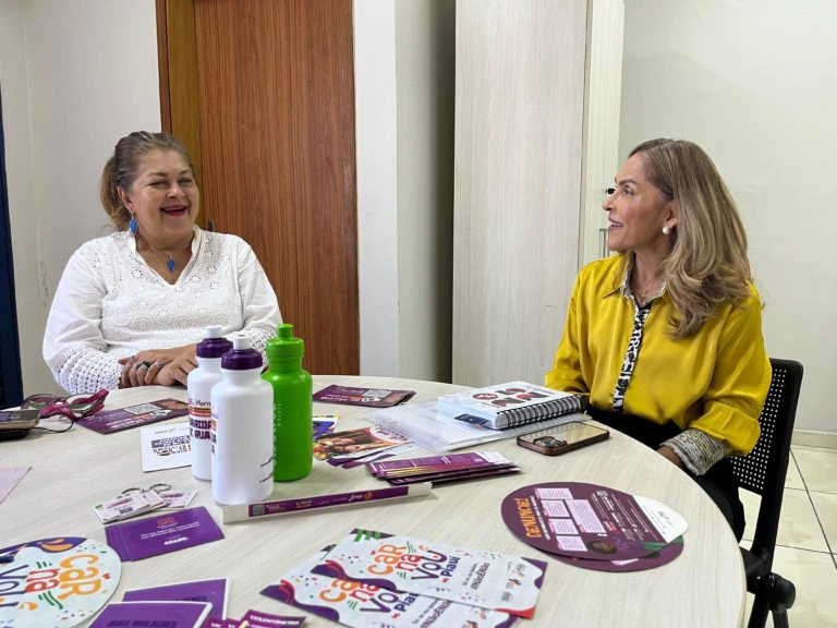 Promotora do MPPI e Secretária da Mulher em Reunião.