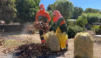 Prefeitura intensifica limpeza nos cemitérios da zona Norte de Teresina