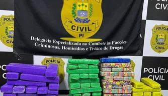 Apreensão de 100 tabletes de maconha