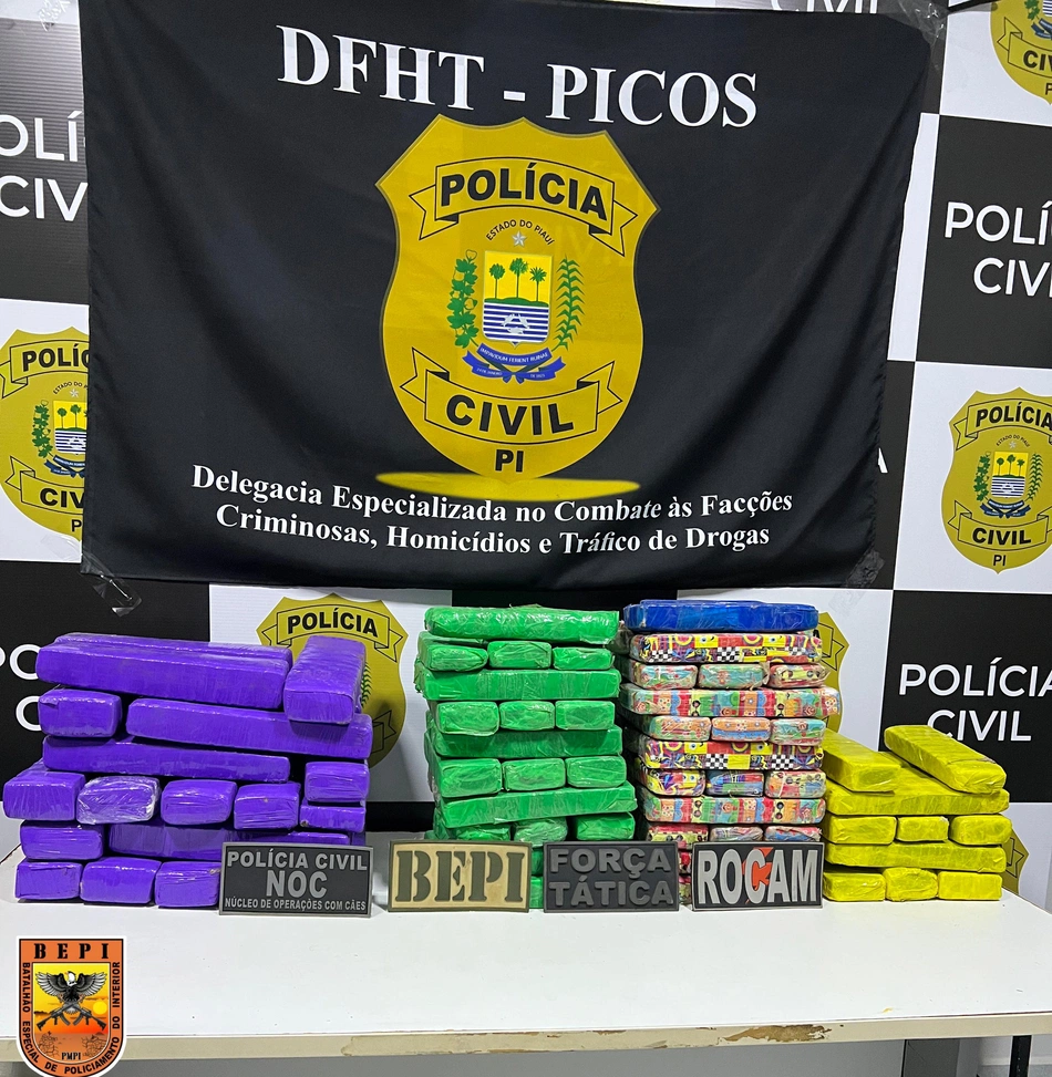 Apreensão de 100 tabletes de maconha