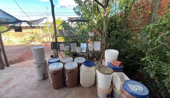 Projeto ecológico que transforma lixo orgânico em adubo.