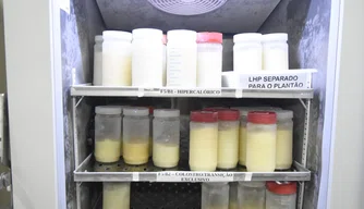 Queda no estoque de leite materno na Nova Maternidade Evangelina Rosa