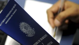 Comércio do Piauí bate recorde de pessoas ocupadas