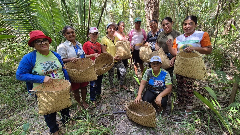 Quebradeiras de coco bababçu