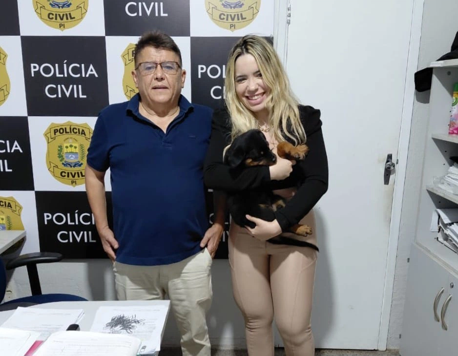 Cachorro é recuperado após ser furtado