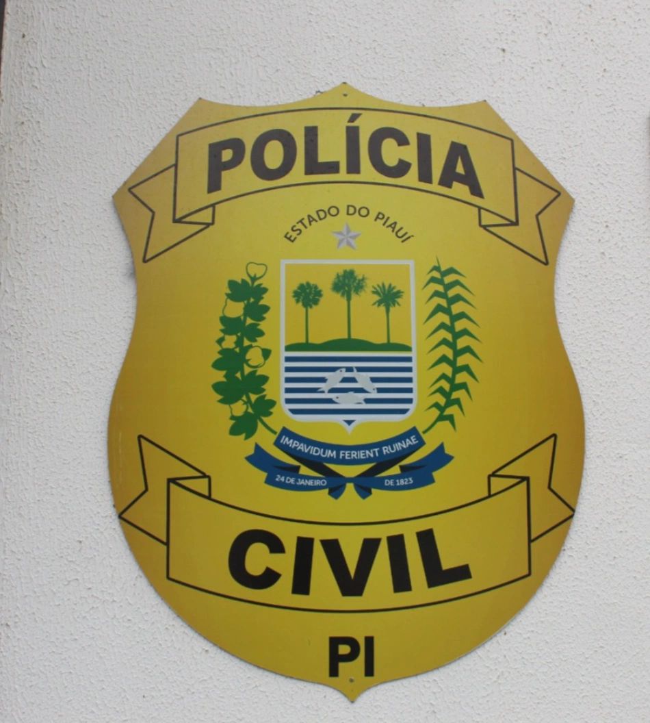 Polícia Civil do Piauí (Logo)