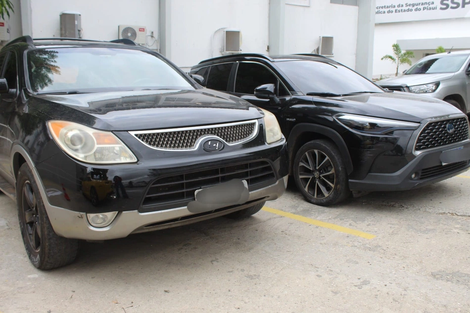 Veículos Apreendidos