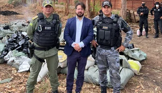 Mais de uma tonelada de drogas é incinerada