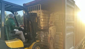 Mil toneladas em exportações