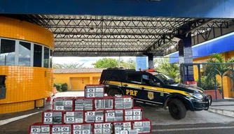 PRF apreende mais de meia tonelada de cocaína na BR-343