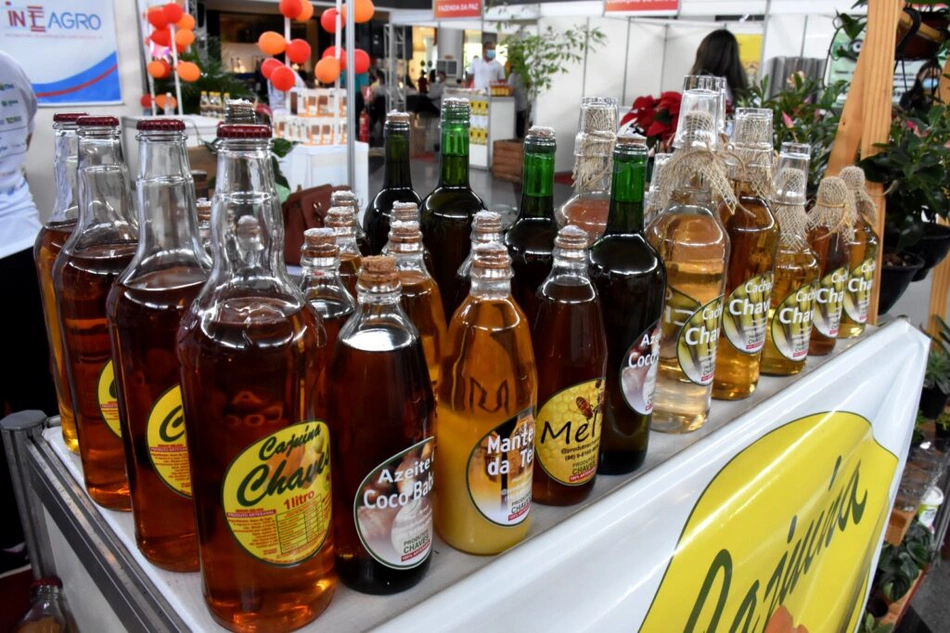 Empresas de Teresina tem aumento na última década