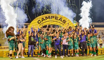 O Atlético Piauiense conquistou o primeiro título nacional de um clube profissional de futebol do Piauí.