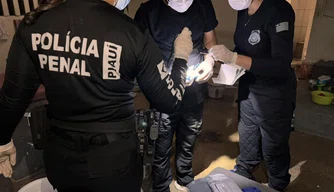 Operação Dominatus em unidade prisional de Altos